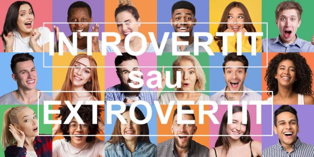 Grup de oameni Introvertiti si Extrovertiti
