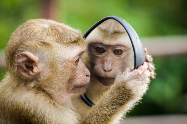 Top 6 Experimente Ciudate Făcute Pe Oameni