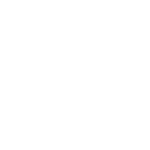 asoc rom hipn white